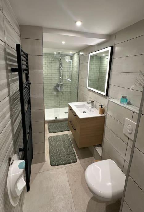 Le Briand Appartement 4Etoiles Nancy Thermal Cosy Avec Terrasse Wifi Dış mekan fotoğraf